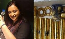 ഒളിവില് പോയിട്ട് ഏഴ് ദിവസം: സ്വപ്നയെ കണ്ടെത്താനാവാതെ അന്വേഷണ സംഘം ഒളിവില് പോയിട്ട് ഏഴ് ദിവസം: സ്വപ്നയെ കണ്ടെത്താനാവാതെ അന്വേഷണ സംഘം