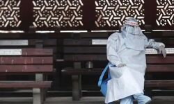 കൊവിഡ് 19: ഡല്‍ഹിയില്‍ രോഗമുക്തി നിരക്ക് മെച്ചപ്പെട്ടു; വ്യാപനമേഖല കൂടുന്നു