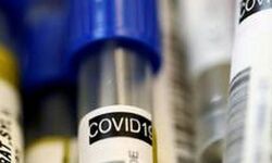 ഹരിയാനയില്‍ 658 പേര്‍ക്ക് കൊവിഡ് സ്ഥിരീകരിച്ചു, ആകെ രോഗികള്‍ 21,240