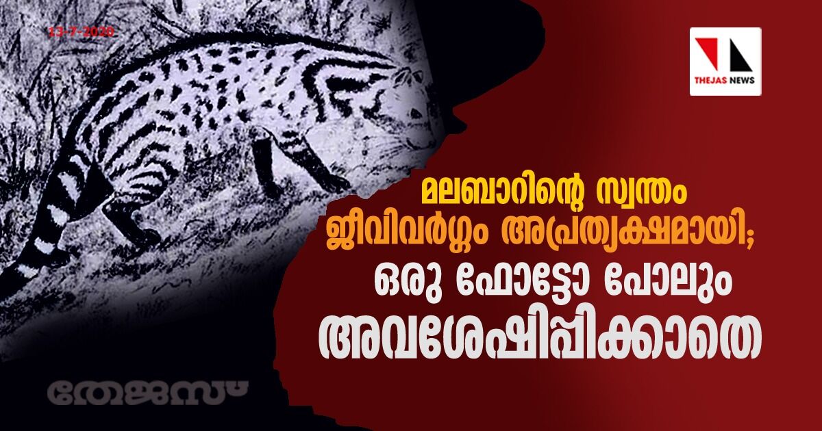 മലബാറിന്റെ സ്വന്തം ജീവിവര്ഗ്ഗം അപ്രത്യക്ഷമായി; ഒരു ഫോട്ടോ പോലും അവശേഷിപ്പിക്കാതെ മലബാറിന്റെ സ്വന്തം ജീവിവര്ഗ്ഗം അപ്രത്യക്ഷമായി; ഒരു ഫോട്ടോ പോലും അവശേഷിപ്പിക്കാതെ