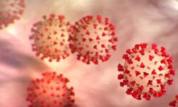 เดเตเดตเดฟเดกเต: เดฎเดพเดตเตเดฒเดฟเดเตเดเดฐเดฏเดฟเดฒเตโ เดเตเดตเดฟเดกเต เดซเดธเตเดฑเตเดฑเต เดฒเตเดจเตโ เดเตเดฐเตเดฑเตเดฑเตโเดฎเตเดจเตเดฑเต เดธเตเดจเตเดฑเดฐเตโ เดชเตเดฐเดตเดฐเตโเดคเตเดคเดจเด เดเดฐเดเดญเดฟเดเตเดเต เดเตเดตเดฟเดกเต: เดฎเดพเดตเตเดฒเดฟเดเตเดเดฐเดฏเดฟเดฒเตโ เดเตเดตเดฟเดกเต เดซเดธเตเดฑเตเดฑเต เดฒเตเดจเตโ เดเตเดฐเตเดฑเตเดฑเตโเดฎเตเดจเตเดฑเต เดธเตเดจเตเดฑเดฐเตโ เดชเตเดฐเดตเดฐเตโเดคเตเดคเดจเด เดเดฐเดเดญเดฟเดเตเดเต