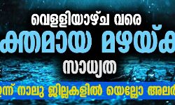 വെളളിയാഴ്ച വരെ ശക്തമായ മഴയ്ക്ക് സാധ്യത; ഇന്ന് നാലു ജില്ലകളില്‍ യെല്ലോ അലര്‍ട്ട്
