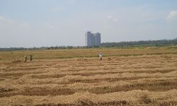 പുഴക്കല്‍ പാടം ബഹുനില വ്യവസായ സമുച്ചയത്തില്‍ പ്രവാസി പാര്‍ക്കിന് ശുപാര്‍ശ