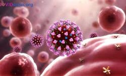 കൊവിഡ്: രാജ്യത്ത് 9.36 ലക്ഷം രോഗികള്‍; ആകെ മരണം 24,309