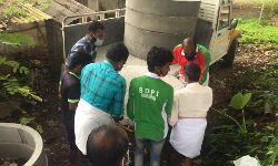 എസ്ഡിപിഐയുടെ പ്രവർത്തനം മാതൃകാപരം: നോബി തോമസ്