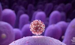 കോഴിക്കോട് ജില്ലയില്‍ ഇന്ന് 64 പേര്‍ക്ക് കൊവിഡ്;15 പേര്‍ക്ക് രോഗമുക്തി