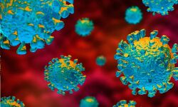 ആലപ്പുഴയില്‍ ഇന്ന് 44 പേര്‍ക്ക് കൊവിഡ്; 32 പേര്‍ക്ക് രോഗം സമ്പര്‍ക്കത്തിലൂടെ