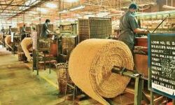 കയര്‍-കയര്‍ ഉല്‍പ്പന്ന കയറ്റുമതിയില്‍ ഇന്ത്യയ്ക്ക് സര്‍വകാല റെക്കോര്‍ഡ്