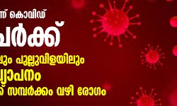 സംസ്ഥാനത്ത് സ്ഥിതി അതീവ ഗുരുതരം; ഇന്ന് 791 പേർക്ക് കൊവിഡ്, പൂന്തുറയിലും പുല്ലുവിളയിലും സമൂഹ വ്യാപനം
