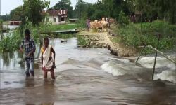 പ്രളയക്കെടുതി: അസമില് 71 പേര് മരിച്ചു; പ്രളയബാധിതരുടെ എണ്ണം 39 ലക്ഷമായി പ്രളയക്കെടുതി: അസമില് 71 പേര് മരിച്ചു; പ്രളയബാധിതരുടെ എണ്ണം 39 ലക്ഷമായി