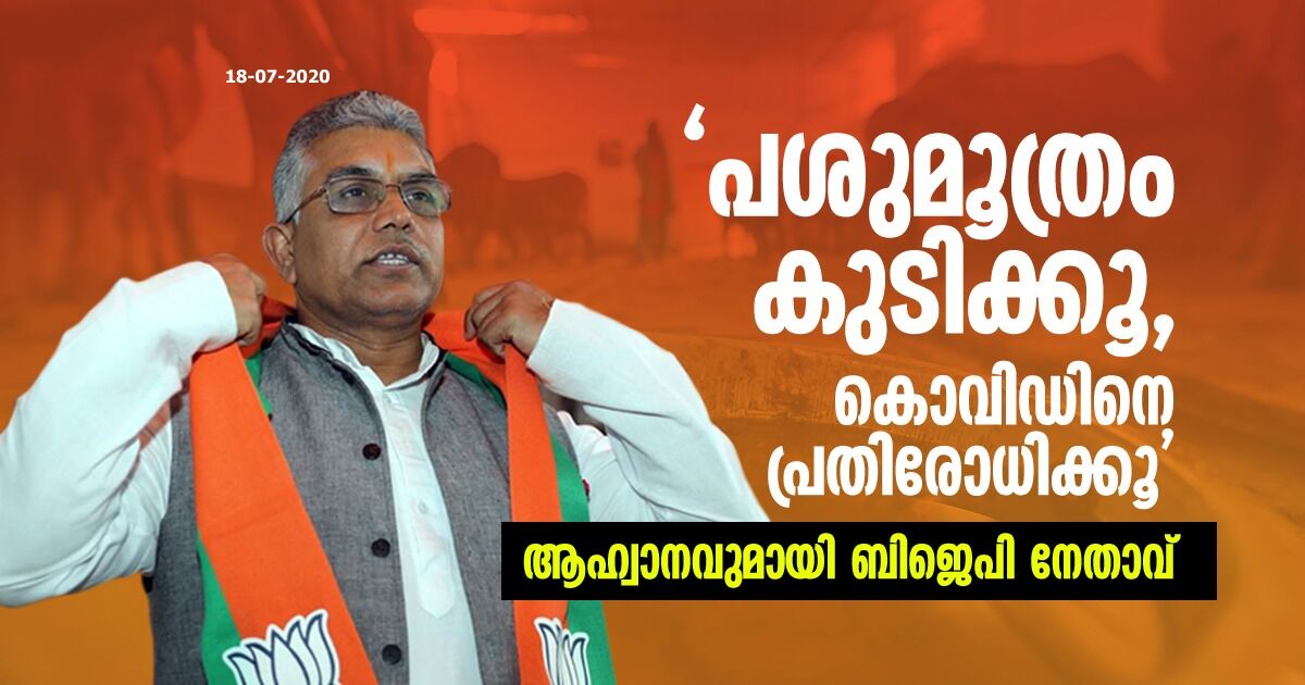 പശുമൂത്രം കുടിക്കൂ, കൊവിഡിനെ പ്രതിരോധിക്കൂ;  ആഹ്വാനവുമായി ബിജെപി നേതാവ്