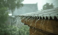 เดคเตเดถเตเดฐเตโ เดเดฟเดฒเตเดฒเดฏเดฟเดฒเตโ 38 เดถเดคเดฎเดพเดจเด เดฎเดด เดเตเดฑเดตเต เดคเตเดถเตเดฐเตโ เดเดฟเดฒเตเดฒเดฏเดฟเดฒเตโ 38 เดถเดคเดฎเดพเดจเด เดฎเดด เดเตเดฑเดตเต