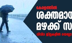 കേരളത്തില്‍ ശക്തമായ മഴക്ക് സാധ്യത; വിവിധ ജില്ലകളില്‍ യെല്ലോ അലര്‍ട്ട്