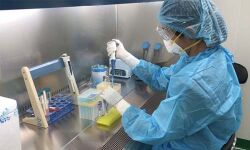 เดเตเดเตเดเดฏเด เดฎเตเดกเดฟเดเตเดเดฒเตโ เดเตเดณเดเดฟเดฒเตโ 24 เดฎเดฃเดฟเดเตเดเตเดฑเตเด เดเตเดตเดฟเดกเต เดชเดฐเดฟเดถเตเดงเดจ; เดชเตเดคเตเดคเดพเดฏเดฟ 40 เดตเตเดจเตเดฑเดฟเดฒเตเดฑเตเดฑเดฑเตเดเดณเตโ เดเตเดเตเดเดฏเด เดฎเตเดกเดฟเดเตเดเดฒเตโ เดเตเดณเดเดฟเดฒเตโ 24 เดฎเดฃเดฟเดเตเดเตเดฑเตเด เดเตเดตเดฟเดกเต เดชเดฐเดฟเดถเตเดงเดจ; เดชเตเดคเตเดคเดพเดฏเดฟ 40 เดตเตเดจเตเดฑเดฟเดฒเตเดฑเตเดฑเดฑเตเดเดณเตโ