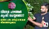 വിദേശ പഴങ്ങള്‍ കൃഷി ചെയ്യണോ? ഇവിടെ പഴം കഴിച്ച് തൈകള്‍ തിരഞ്ഞെടുക്കാം