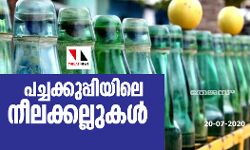 പച്ചക്കുപ്പിയിലെ നീലക്കല്ലുകള്‍