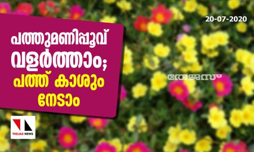 പത്തുമണിപ്പൂവ് വളര്‍ത്താം; പത്ത് കാശും നേടാം