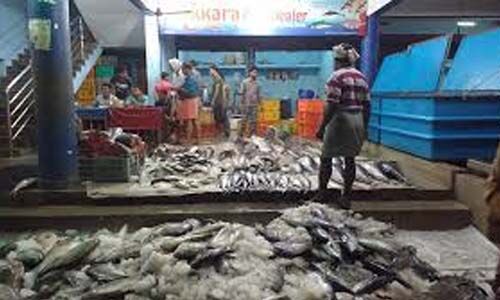 ചങ്ങനാശ്ശേരി മല്‍സ്യമാര്‍ക്കറ്റില്‍ ഇതുവരെ കൊവിഡ് സ്ഥിരീകരിച്ചത് 45 പേര്‍ക്ക്; നിയന്ത്രണങ്ങള്‍ കര്‍ശനമാക്കി