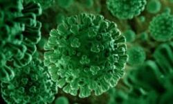 കോഴിക്കോട് ജില്ലയില് 39 പേര്ക്ക് കൊവിഡ്; 39 പേര്ക്ക് രോഗമുക്തി കോഴിക്കോട് ജില്ലയില് 39 പേര്ക്ക് കൊവിഡ്; 39 പേര്ക്ക് രോഗമുക്തി