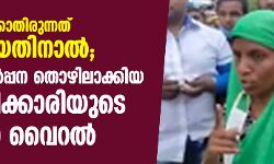 തൊഴില്‍ ലഭിക്കാതിരുന്നത് മുസ്‌ലിമായതിനാല്‍; പച്ചക്കറി വില്‍പ്പന തൊഴിലാക്കിയ പിഎച്ച്ഡിക്കാരിയുടെ വീഡിയോ വൈറല്‍