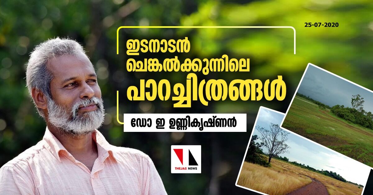 ഇടനാടൻ ചെങ്കൽക്കുന്നിലെ പാറച്ചിത്രങ്ങൾ