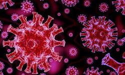 മലപ്പുറം ജില്ലയില്‍ 68 പേര്‍ക്ക് കൂടി കൊവിഡ് സ്ഥിരീകരിച്ചു;രോഗമുക്തരായവര്‍ 185 പേര്‍