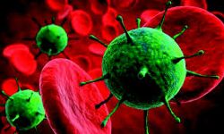 വരനും വധുവുമടക്കം വിവാഹത്തില്‍ പങ്കെടുത്ത 43 പേര്‍ക്ക് കൊവിഡ്