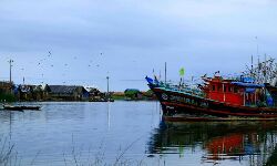 പൊന്നാനി ഹാര്‍ബര്‍ നാളെ മുതല്‍ തുറന്നുപ്രവര്‍ത്തിക്കും