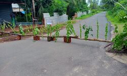 പയ്യോളി: ആരോഗ്യ വകുപ്പിന്റെ ജാഗ്രതക്കുറവ് സാമുഹ്യ വ്യാപനത്തിന് ഇടയാക്കുമെന്ന് ആക്ഷേപം