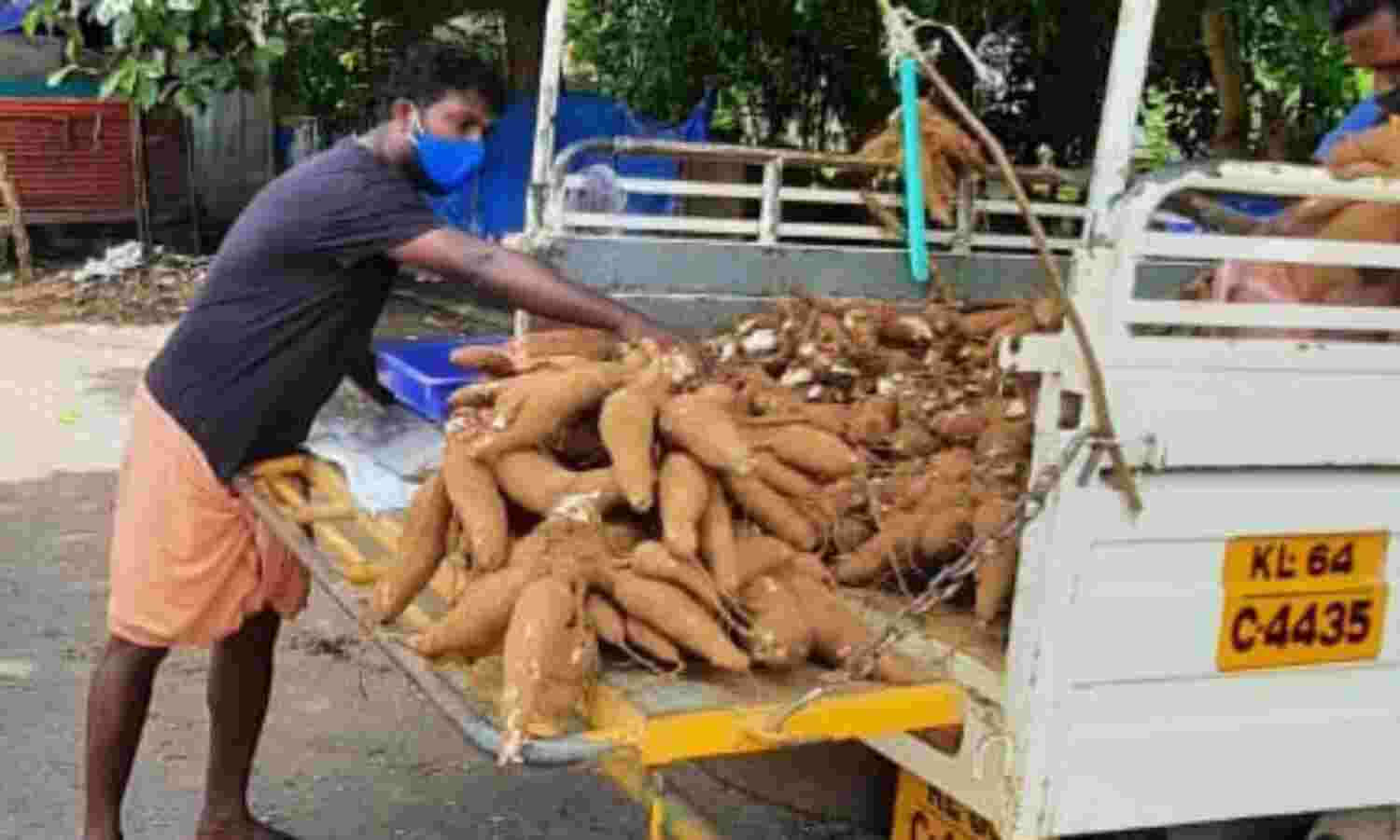 നിത്യവൃത്തിക്കായി മരച്ചീനി കച്ചവടവുമായി ഫോട്ടോഗ്രഫര് നിത്യവൃത്തിക്കായി മരച്ചീനി കച്ചവടവുമായി ഫോട്ടോഗ്രഫര്