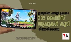 ഇന്ത്യയില്‍ പബ്ജി ഉള്‍പ്പടെ 295 ചൈനീസ് ആപ്പുകള്‍ കൂടി നിരോധിക്കാനൊരുങ്ങുന്നു