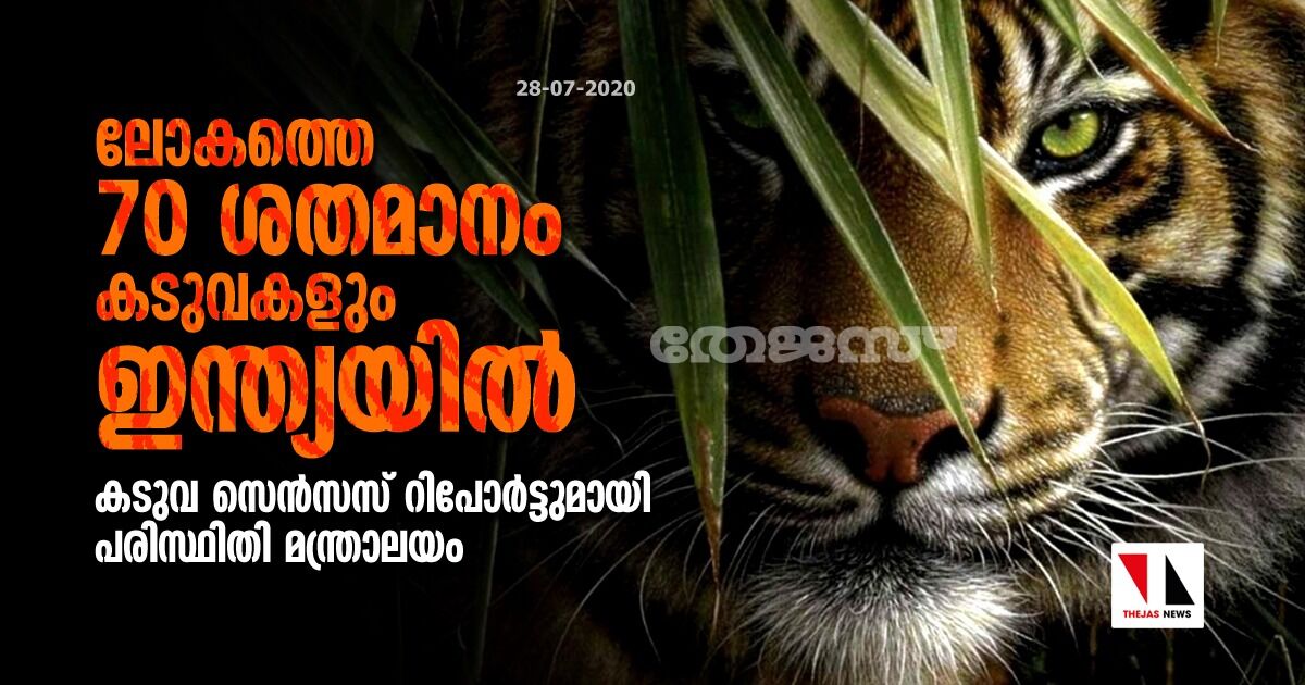 ലോകത്തെ 70 ശതമാനം കടുവകളും ഇന്ത്യയില്‍: കടുവ സെന്‍സസ് റിപോര്‍ട്ടുമായി പരിസ്ഥിതി മന്ത്രാലയം