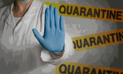 പയ്യന്നൂര്‍ എംഎല്‍എ സി കൃഷ്ണനും കുടുംബവും ക്വാറന്റീനില്‍ പ്രവേശിച്ചു