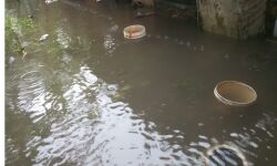 എറണാകുളത്തെ വെള്ളക്കെട്ട്: അധികൃതര്‍ക്കെതിരെ പ്രതിഷേധവുമായി പി ആന്റ് ടി കോളനി നിവാസികള്‍