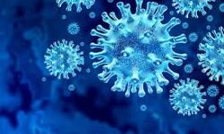 മലപ്പുറം ജില്ലയില്‍ 87 പേര്‍ക്ക് കൂടി കൊവിഡ് സ്ഥിരീകരിച്ചു; 34 പേര്‍ക്ക് രോഗമുക്തി