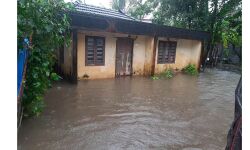 കനത്ത മഴ:അരൂരില്‍ വെള്ളക്കെട്ട് രൂക്ഷം ; കാനകള്‍ കവിഞ്ഞ് വെള്ളം താഴ്ന്ന പ്രദേശങ്ങളിലേക്ക്