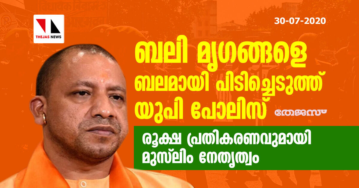 ബലി മൃഗങ്ങളെ ബലമായി പിടിച്ചെടുത്ത് യുപി പോലിസ്; രൂക്ഷ പ്രതികരണവുമായി മുസ്‌ലിം നേതൃത്വം