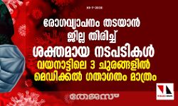 രോഗവ്യാപനം തടയാന്‍ ജില്ല തിരിച്ച് ശക്തമായ നടപടികള്‍; വയനാട്ടിലെ 3 ചുരങ്ങളില്‍ മെഡിക്കല്‍ ഗതാഗതം മാത്രം