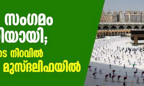 അറഫാ സംഗമം പൂര്‍ത്തിയായി; നിര്‍വൃതിയുടെ നിറവില്‍ ഹാജിമാര്‍ മുസ്ദലിഫയില്‍