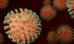 കോട്ടയം ജില്ലയില് 89 പേര്ക്കു കൂടി കൊവിഡ് കോട്ടയം ജില്ലയില് 89 പേര്ക്കു കൂടി കൊവിഡ്