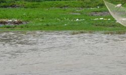 യുപിയില്‍ പ്രളയബാധിത ഗ്രാമങ്ങളുടെ എണ്ണം 293 ആയി