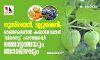 ഗൂസ്‌ബെറി, ബ്ലൂബെറി; ഓണ്‍ലൈനില്‍ കയറിയപ്പോള്‍ വിലപ്പെട്ട പഴങ്ങളായി ഞൊട്ടങ്ങയും ഞാറപ്പഴവും