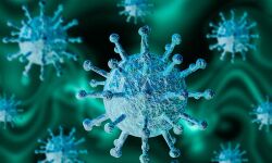 കൊല്ലത്ത് ഇന്ന് 69 പേര്ക്ക് കൊവിഡ് കൊല്ലത്ത് ഇന്ന് 69 പേര്ക്ക് കൊവിഡ്