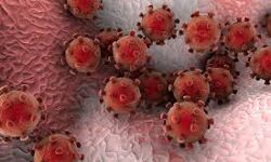 ആലപ്പുഴയില്‍ ഇന്ന് 38 പേര്‍ക്ക് കൊവിഡ്; 24 പേര്‍ക്ക് സമ്പര്‍ക്കത്തിലൂടെ