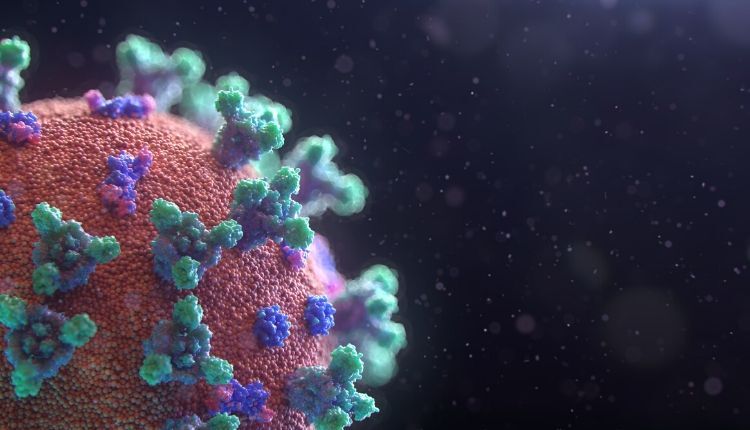 കോഴിക്കോട് ജില്ലയില്‍ 33 പേര്‍ക്ക് കൊവിഡ്;  29 പേര്‍ക്ക് സമ്പര്‍ക്കം വഴി