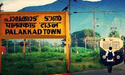 പാലക്കാട് 59 പേര്ക്ക് കൊവിഡ് : 67 പേര്ക്ക് രോഗമുക്തി പാലക്കാട് 59 പേര്ക്ക് കൊവിഡ് : 67 പേര്ക്ക് രോഗമുക്തി