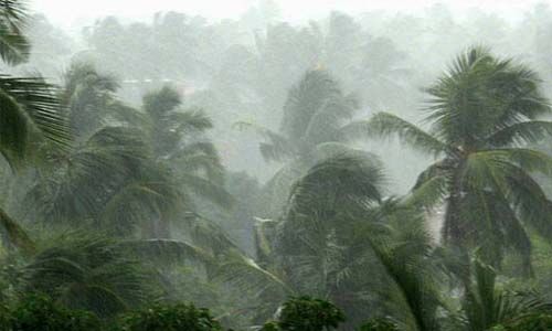 കനത്ത മഴ: പമ്പയിലും അച്ചന്കോവിലാറിലും ജലനിരപ്പുയര്ന്നു; ചെങ്ങന്നൂരില് 16 ക്യാംപുകള് തുറന്നു കനത്ത മഴ: പമ്പയിലും അച്ചന്കോവിലാറിലും ജലനിരപ്പുയര്ന്നു; ചെങ്ങന്നൂരില് 16 ക്യാംപുകള് തുറന്നു