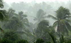 കനത്ത മഴ: പമ്പയിലും അച്ചന്കോവിലാറിലും ജലനിരപ്പുയര്ന്നു; ചെങ്ങന്നൂരില് 16 ക്യാംപുകള് തുറന്നു കനത്ത മഴ: പമ്പയിലും അച്ചന്കോവിലാറിലും ജലനിരപ്പുയര്ന്നു; ചെങ്ങന്നൂരില് 16 ക്യാംപുകള് തുറന്നു