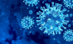 ആലപ്പുഴയില്‍ ഇന്ന് കൊവിഡ് 108 പേര്‍ക്ക്; 89 പേര്‍ക്ക് സമ്പര്‍ക്കം വഴി