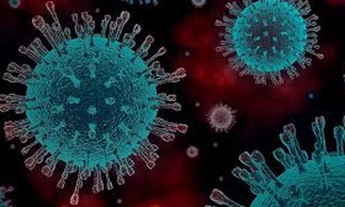 ഇടുക്കി ജില്ലയില്‍ ഇന്ന് 26 പേര്‍ കോവിഡ് രോഗമുക്തരായി